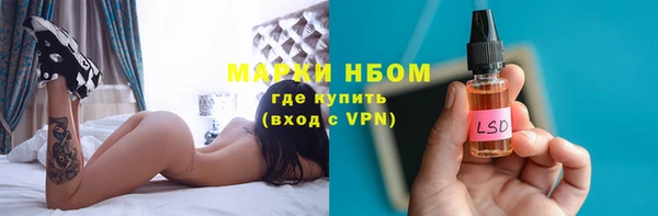 индика Аркадак