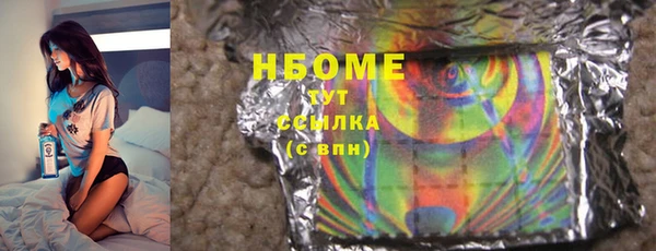 индика Аркадак