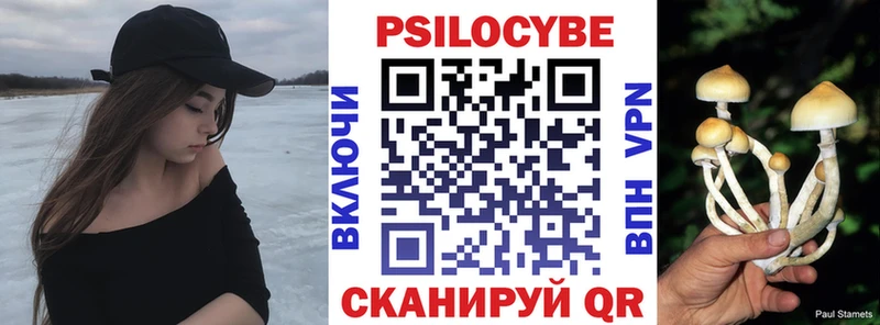 Купить закладки  Бабаево  Галлюциногенные грибы ЛСД 